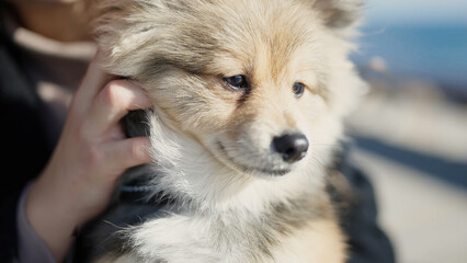 Young hispanic woman with dog sitting on bench at seaside