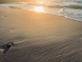 Sunshine reflection on the sandy sea coastline, golden hour, wat sea sand, evening sunlight on the sea shore 