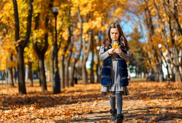 Fototapeta na wymiar the girl is walking in the autumn city park, she is happy and enjoys the beautiful nature, holding yellow maple leaves in her hands, a bright sunny day
