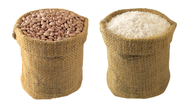 saco de estopa com feijão cru e saco de estopa com arroz cru isolado em fundo transparente - saco de feijão e arroz