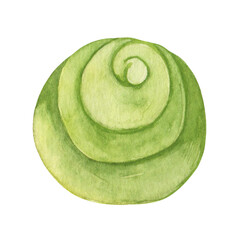 Watercolor illustration of green wasabi sauce for roll and sushi. Japanese spices. Hand drawn.