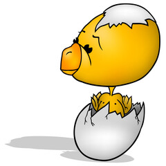 Yellow Chick with a Big Head in an Egg Shell