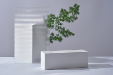 Natural concept with a white podium decorated with acrylic sheet and a branch of tree. Stage...