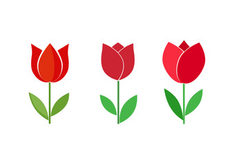 Design icons vector illustration of a flower (tulip).
