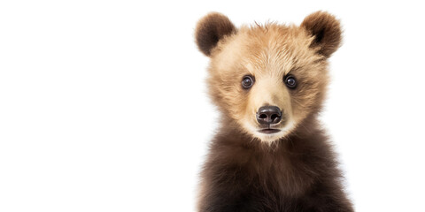Fototapeta premium Cute baby bear isolated on a white background. Generative AI
