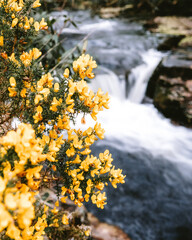 long exposure river flowing 