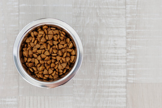 Dog food in a silver bowl on the floor with copy space