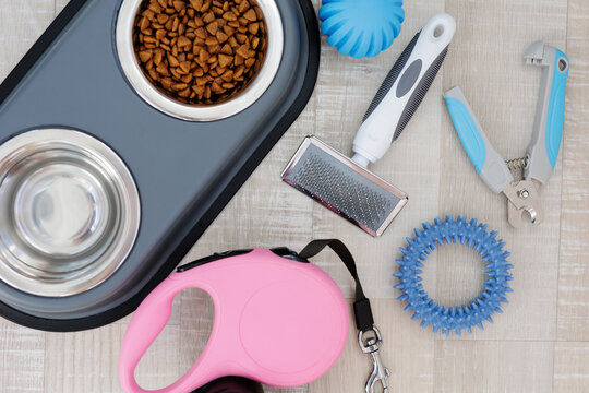 Pet leash, nail clipper, hair comb, food and blue toys on floor