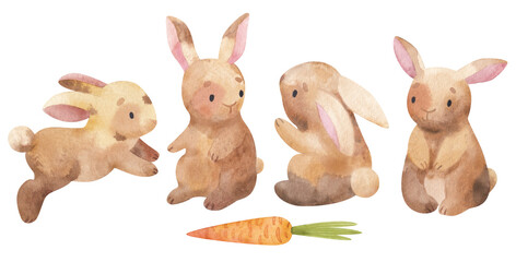 Beautiful set of four cute hand-drawn bunnies and carrot. Watercolor illustration of funny forest animals. Easter collection. Farm pets.