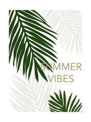 Summer vibes vector illustration of palm leaves with inscription text on white background. Tropical poster.