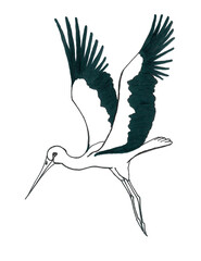 Cartoon silhouette of a stork with a long beak. A symbol of birth and peace. Brings happiness and prosperity to the family. Isolated black and white image of a cute flying bird with stretched up wings