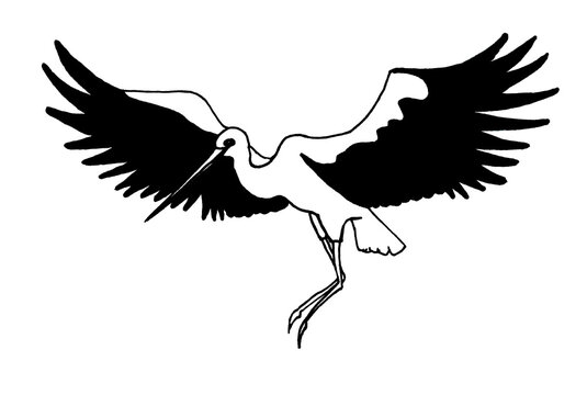 Cartoon silhouette of a stork with a long beak. Isolated black and white image of a bird with wings spread out like a fan. A symbol of birth and peace. Brings happiness and prosperity to the family.