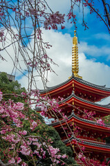 Fototapeta premium Fukuoka