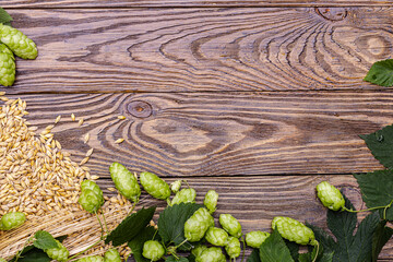 Beer brewing ingredients, hops, and barley ears on a barley grains heap on a wooden table. Brewery concept background. Hop cones and the barley closeup. Flat lay. - 607797026