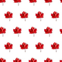 Seamless pattern of colorful autumn maple leaves with hard light isolated on white background