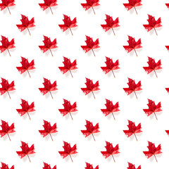 Seamless pattern of colorful autumn maple leaf isolated on white background