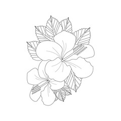 Flower Coloring page Hand Drawn Vector Sketch Line Art 
