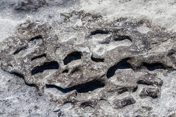 Texture of seaside natural rock