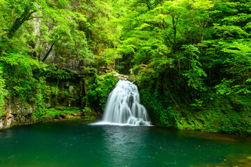 赤目四十八滝　千手滝