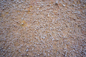 Brown dirt (soil) as background.