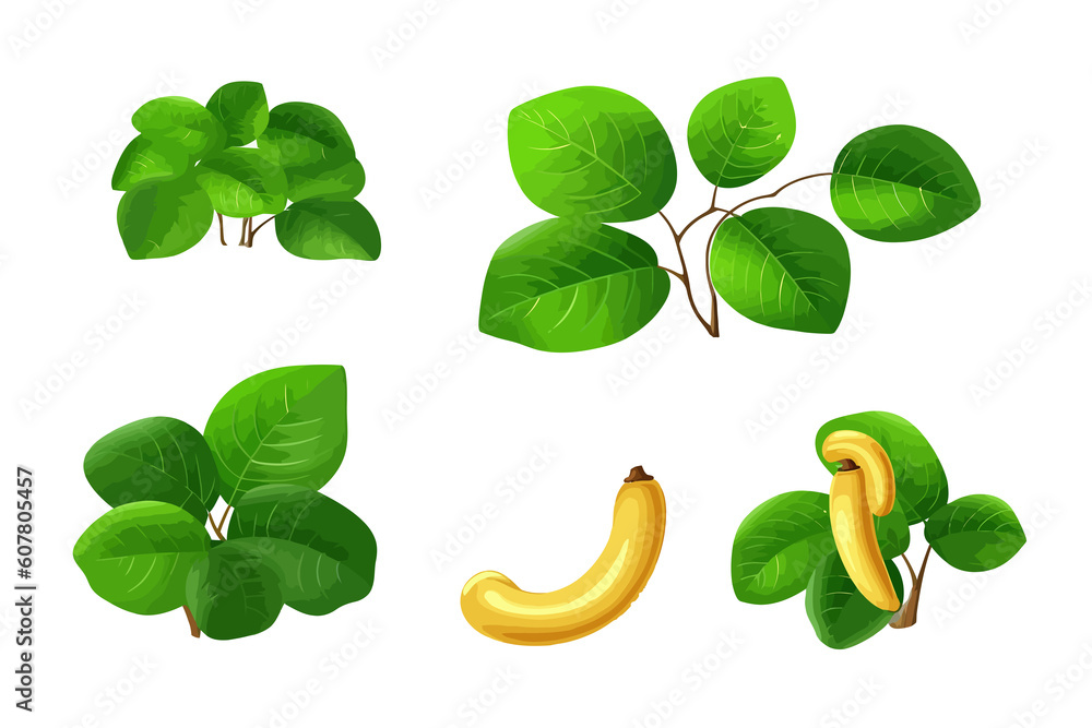 Poster set cashew and leaf. generative ai