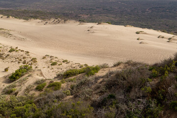 view from the top of the hill