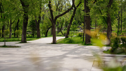 Empty summer modern park.