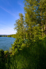 Fototapeta na wymiar “Hennesee“ lake or dam is a water reservoir and a popular recreation and sports area near Meschede and Arnsberg Germany with fresh green nature on a sunny spring afternoon. Idyllic Sauerland panorama.