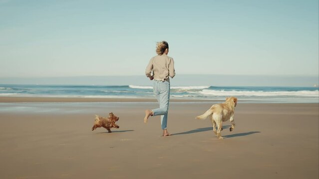 Back view of blonde woman running in slow motion with her two dogs at the sandy beach. Little Havanese puppy and big light brown Labrador enjoying summer day by the blue sea with their owner.
