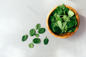 Healthy food background. Green spinach leaves in a wooden deep plate close-up in daylight on gray background. Flat lay