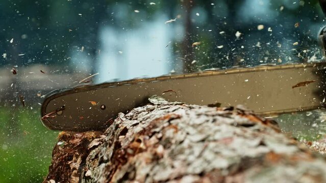 Super Slow Motion of a Chainsaw Cutting the Wooden Log. Filmed on High Speed Cinema Camera, 1000 fps.