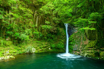 赤目四十八滝　布引滝