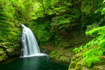 赤目四十八滝　不動滝
