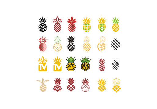 Pineapple fruit symbol icon logo set for groceries, farm shop, packaging and advertising