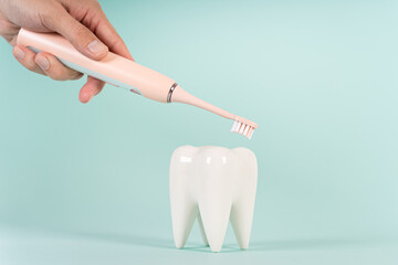 Professional teeth cleaning concept. Dentist hand holding an electric toothbrush and a healthy white tooth model on blue background. Copy space. Teeth care, dental treatment, whitening. Special offer