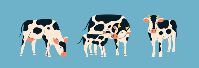 Spotted cows set. Vector flat style illustration