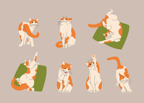 Cat set. Vector flat style illustration