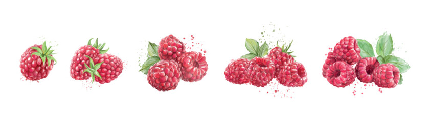 Set of ripe raspberries on white background - obrazy, fototapety, plakaty