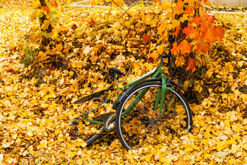 大量の銀杏の落ち葉に埋もれた自転車