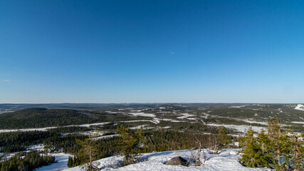 Fototapeta na wymiar landscape with snow and trees