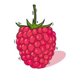 A vector illustration of a fresh red raspberry fruit.