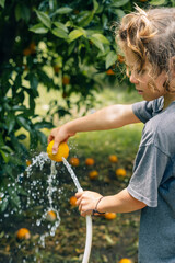 Child boy washes an orange with water from a hose in the garden to eat fresh fruit from the tree.