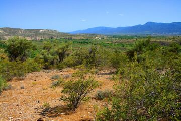 Verde River Valley