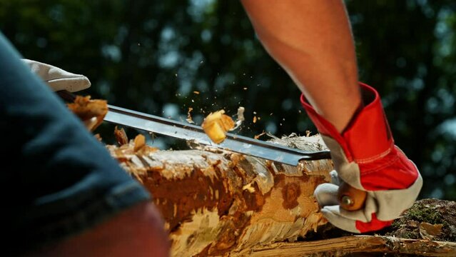 Super Slow Motion of a Planer Planing Bark from a Tree. Filmed on High Speed Cinema Camera, 1000 fps.