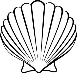 Line art shell illustration. Contour illustration with black thin line