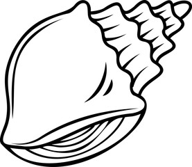 Line art shell illustration. Contour illustration with black thin line