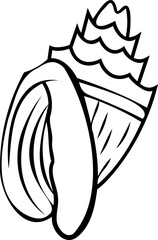 Line art shell illustration. Contour illustration with black thin line