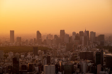 Cityscape of skyline of tokyo city with gold light sun set /sun rise sky background in winter season, Tokyo, Japan