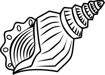 Line art shell illustration. Contour illustration with black thin line