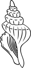 Line art shell illustration. Contour illustration with black thin line
